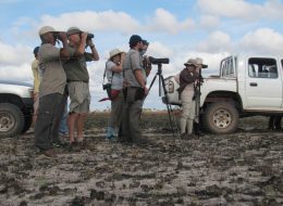 Birding on the Rupununi Savannah - JourneyGuyana Tours