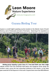 Guyana Birding Tour - PDF Download